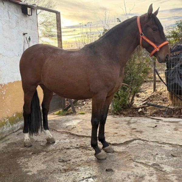 Screenshot_20251225_233822_WhatsApp