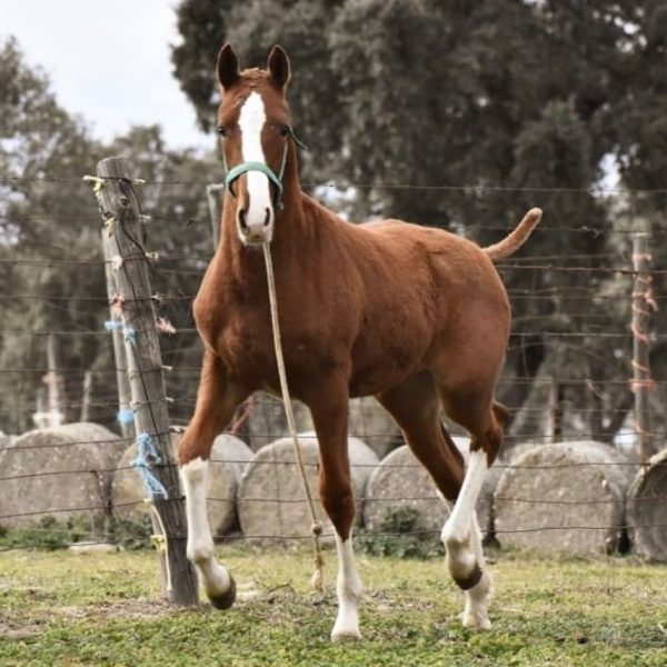 Screenshot_20251227_170932_WhatsApp