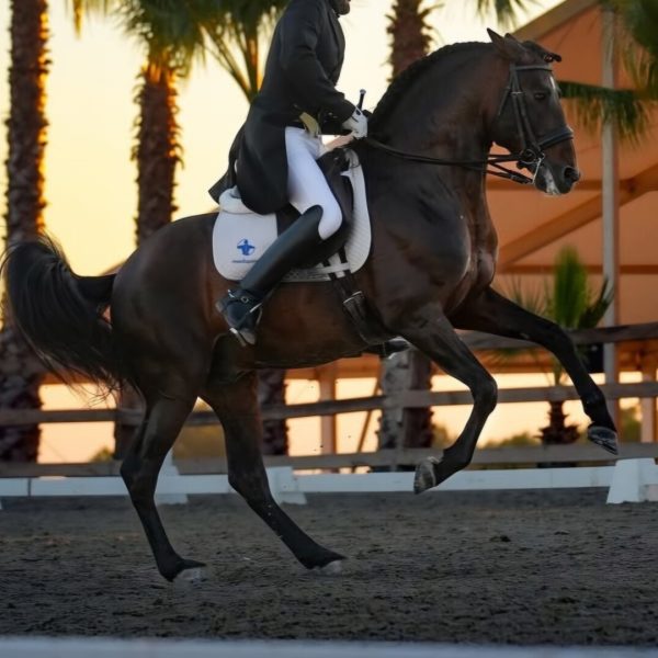 Screenshot_20251227_174030_Instagram