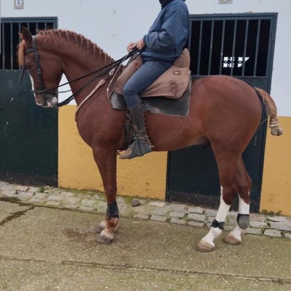 Screenshot_20251227_185332_WhatsApp