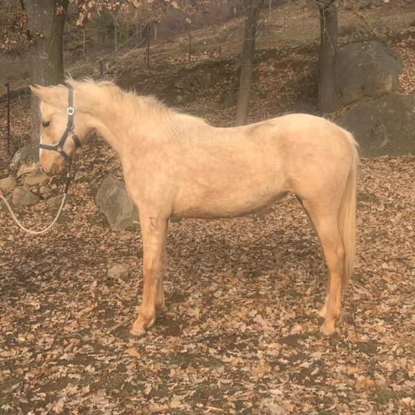 Screenshot_20251227_185618_WhatsApp