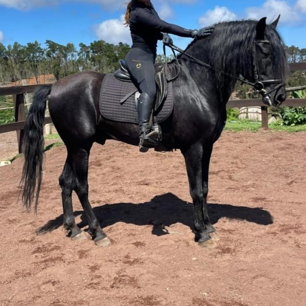 Screenshot_20251227_190030_WhatsApp