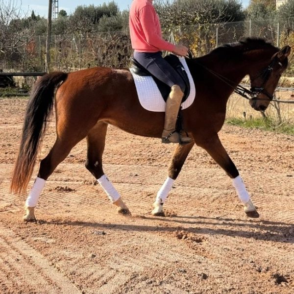 Screenshot_20251227_190544_WhatsApp