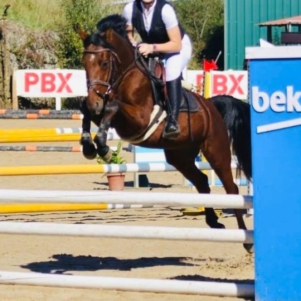 Screenshot_20251227_190755_WhatsApp