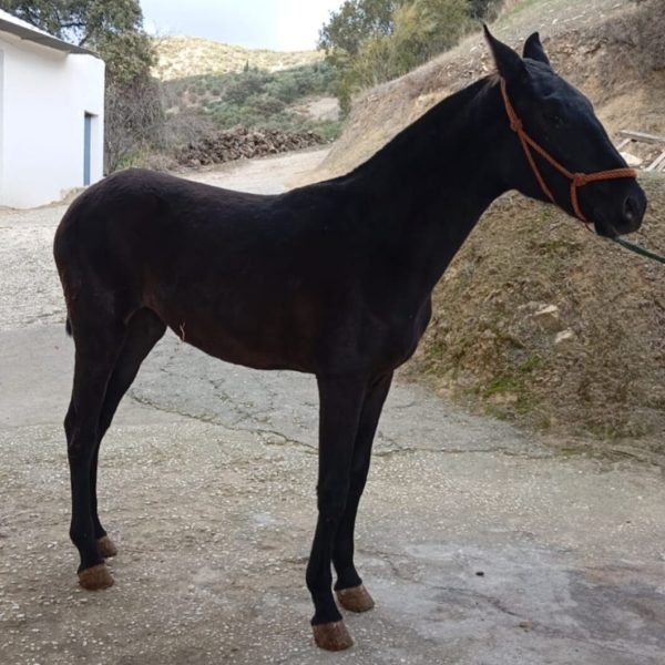 Screenshot_20251227_191432_WhatsApp