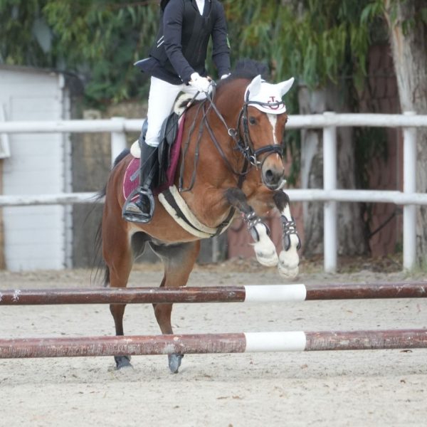 Screenshot_20251227_191722_WhatsApp