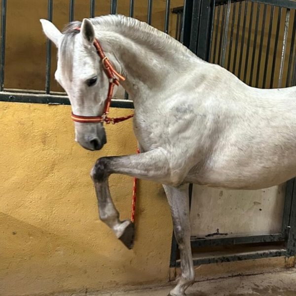 Screenshot_20251227_192020_WhatsApp