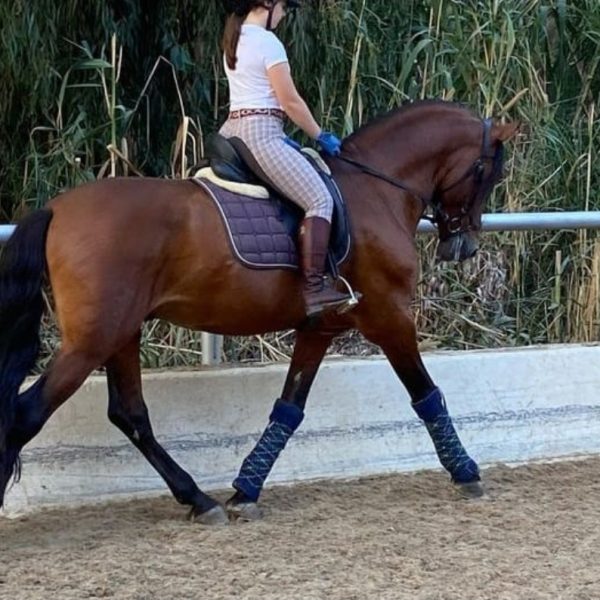 Screenshot_20251227_235815_WhatsApp