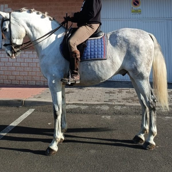 Screenshot_20251229_135935_WhatsApp