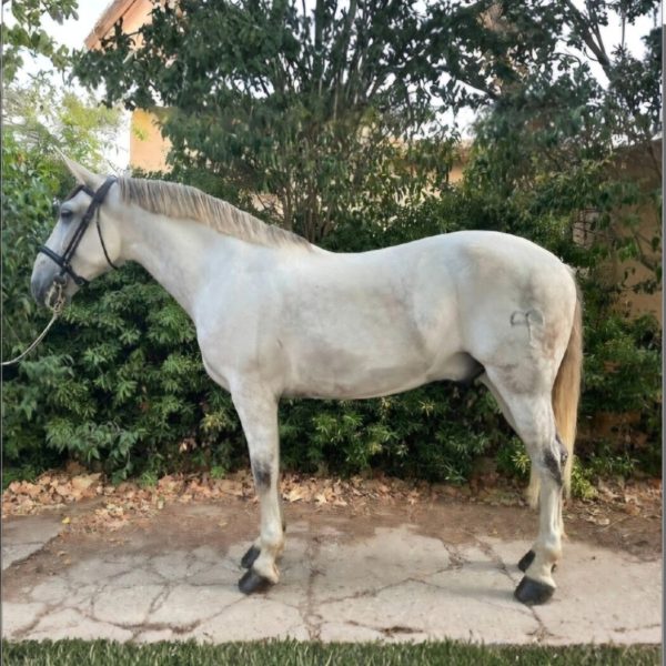 Screenshot_20260104_170416_Samsung capture