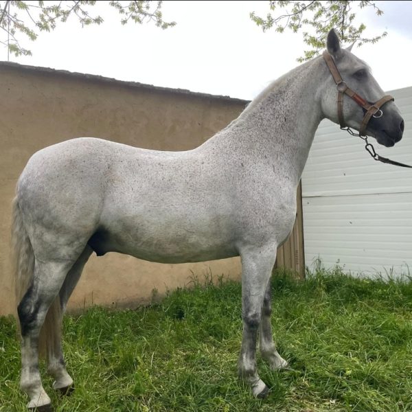 Screenshot_20260104_221428_WhatsApp