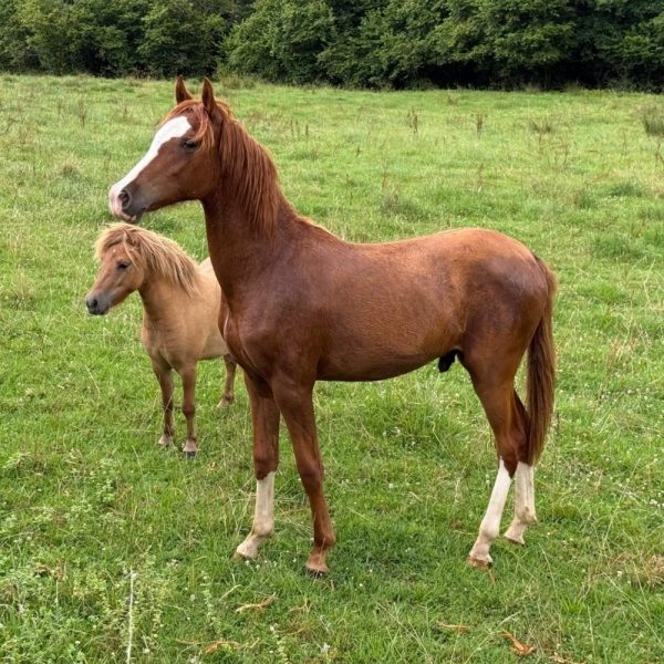 Screenshot_20260106_140252_WhatsApp