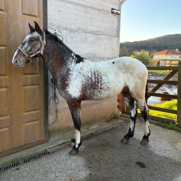 Screenshot_20260106_195554_WhatsApp