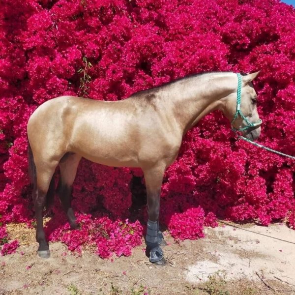 Screenshot_20260107_203024_WhatsApp