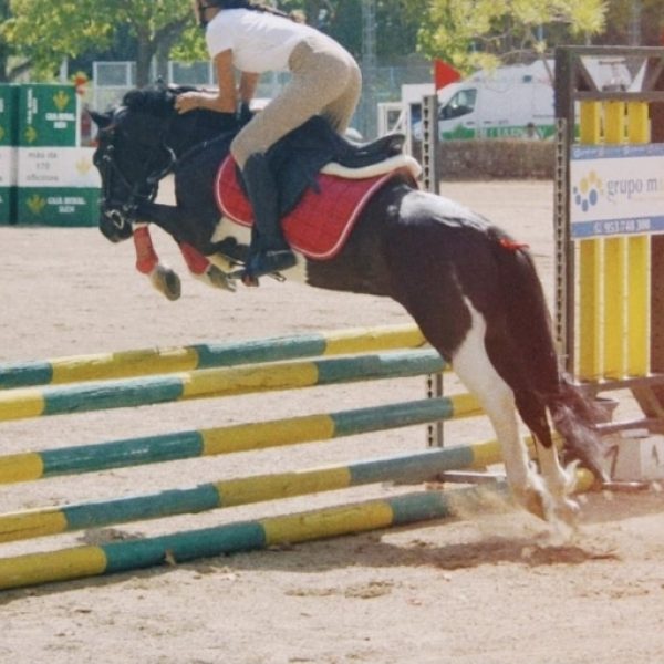 Screenshot_20260107_211948_WhatsApp