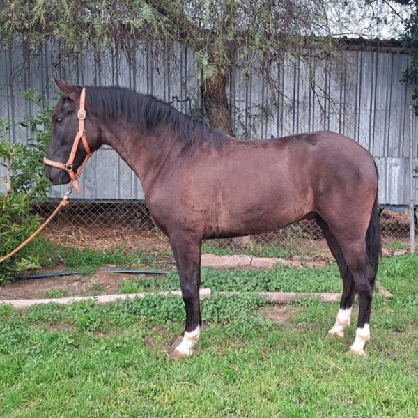 Screenshot_20260111_121700_WhatsApp