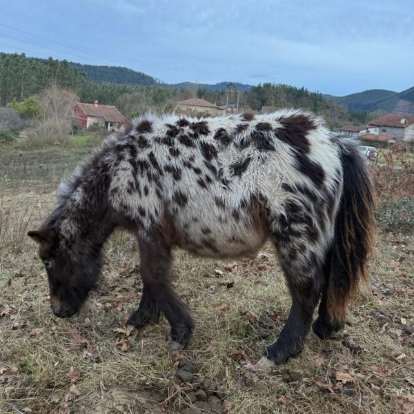 Screenshot_20260112_064443_WhatsApp