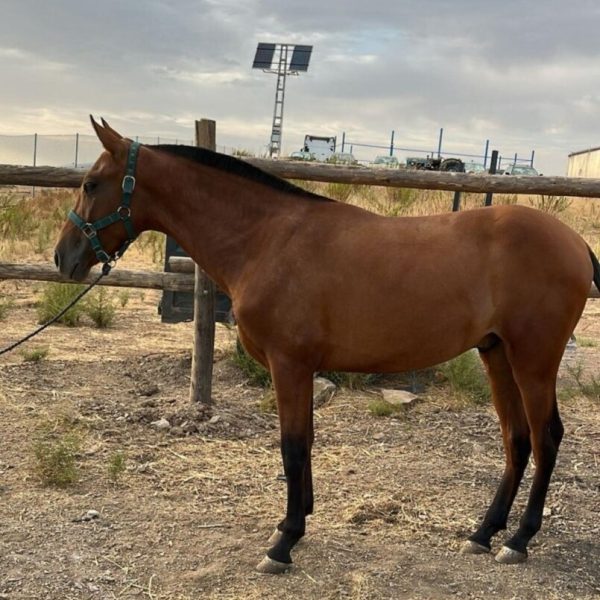 Screenshot_20260115_144545_WhatsApp