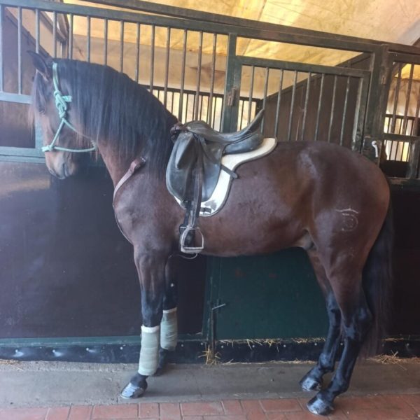 Screenshot_20260120_070733_WhatsApp