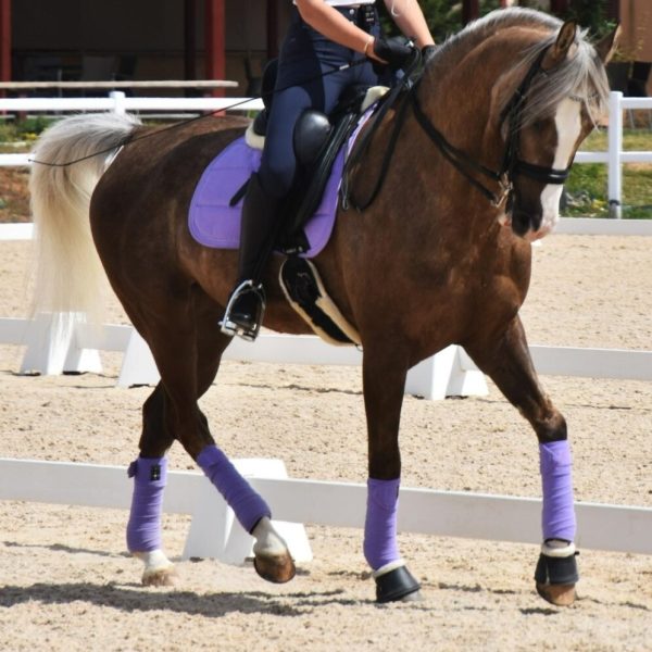 Screenshot_20260120_095559_WhatsApp