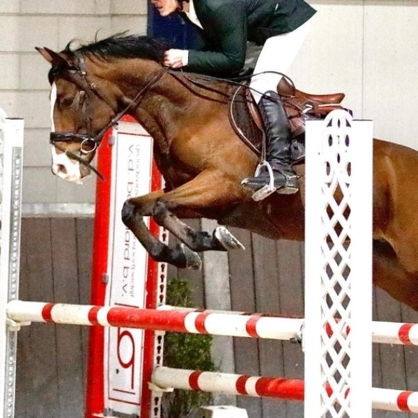 Screenshot_20260121_061457_WhatsApp