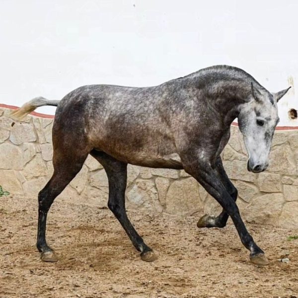 Screenshot_20260127_093641_WhatsApp