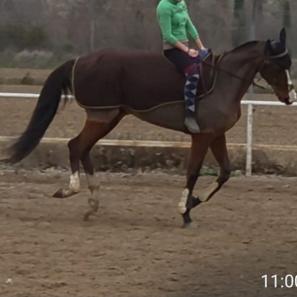 Screenshot_20260127_164616_WhatsApp