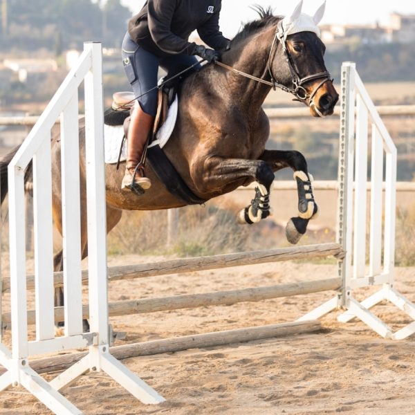 Screenshot_20260208_183105_WhatsApp