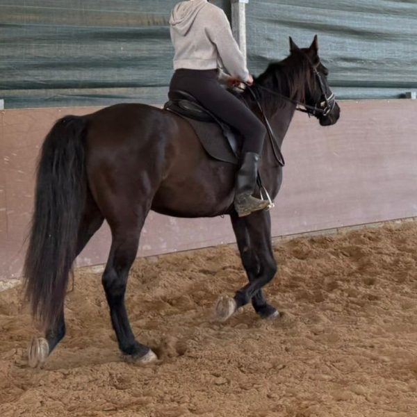 Screenshot_20260208_202153_WhatsApp