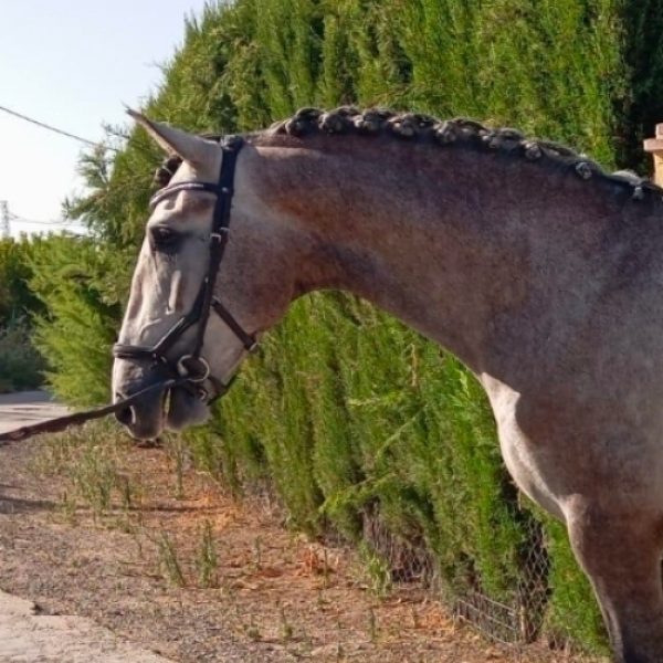 Screenshot_20260211_170725_Gallery