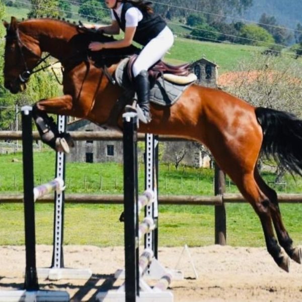 Screenshot_20260216_160607_WhatsApp