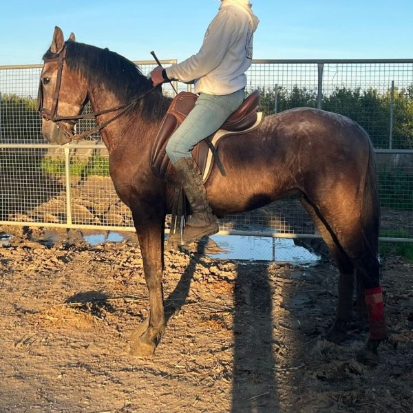 Screenshot_20260217_212505_WhatsApp