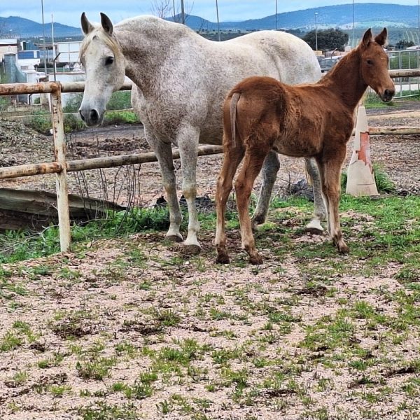 Screenshot_20260218_210942_WhatsApp