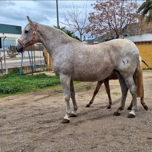 Screenshot_20260218_212657_WhatsApp