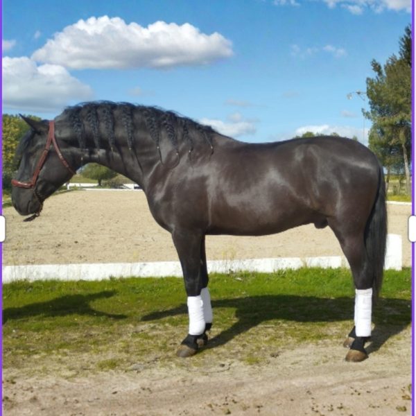 Screenshot_20260221_113416_Canva