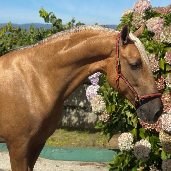 Screenshot_20260223_193347_WhatsApp