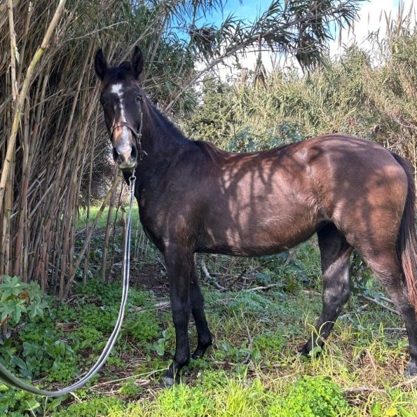 Screenshot_20260224_093804_WhatsApp