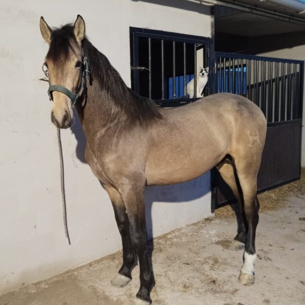 Screenshot_20260224_094759_WhatsApp