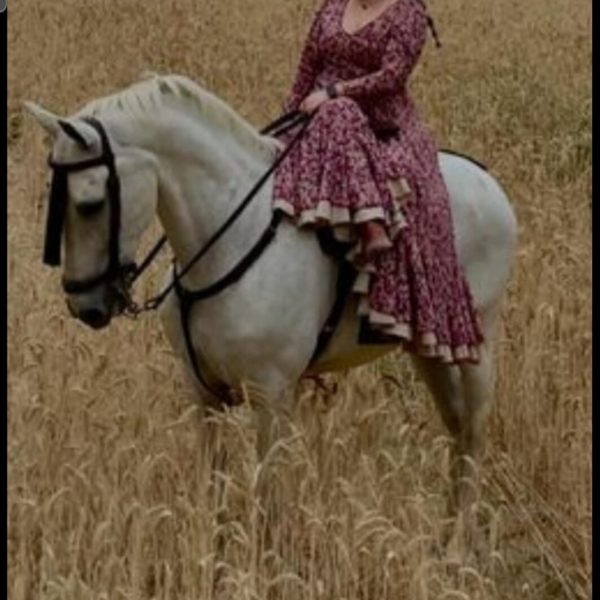 Screenshot_20260226_072448_WhatsApp