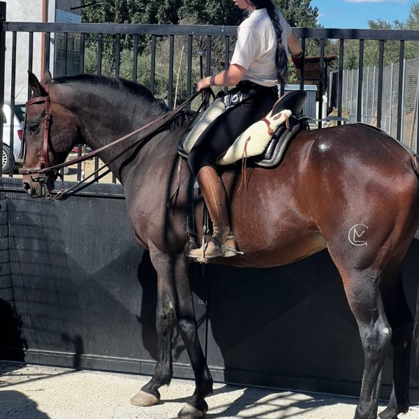 Screenshot_20260302_203821_WhatsApp