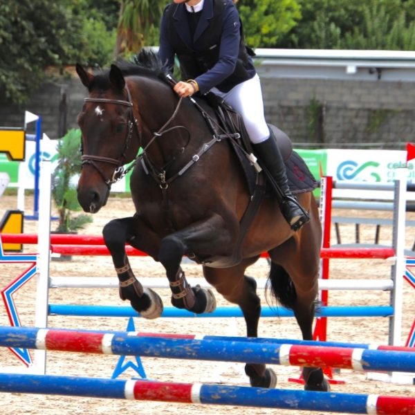 Screenshot_20260302_205712_WhatsApp