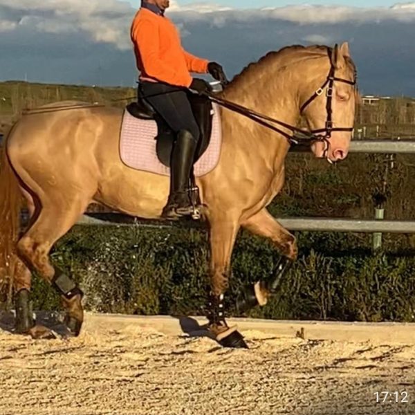 Screenshot_20260303_063333_WhatsApp