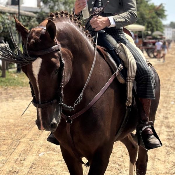 Screenshot_20260304_162044_WhatsApp