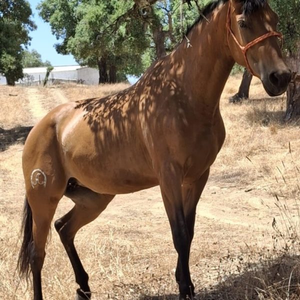 Screenshot_20260304_195317_WhatsApp