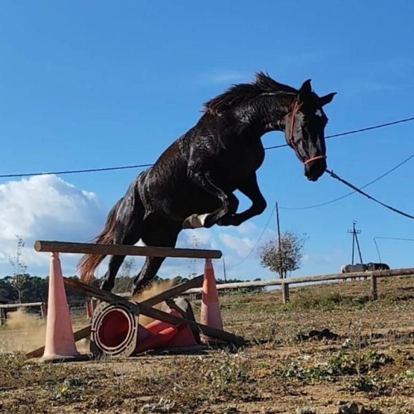 Screenshot_20260304_220217_WhatsApp