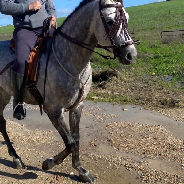 Screenshot_20260305_220547_WhatsApp