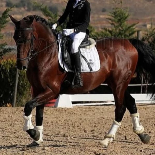 Screenshot_20260315_184638_WhatsApp