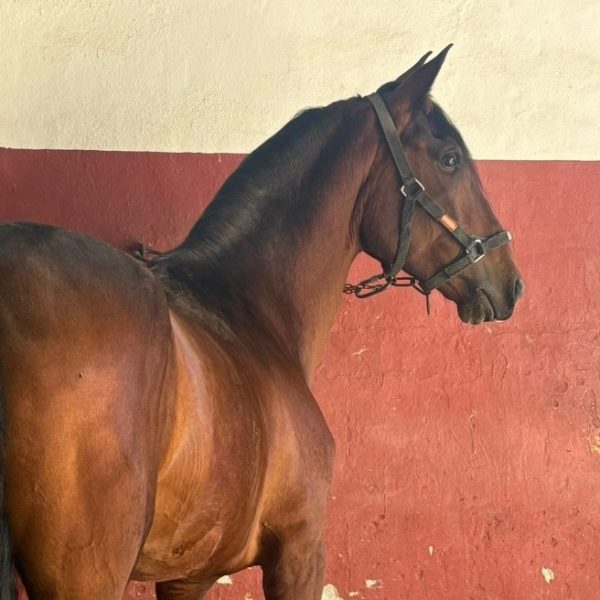 Screenshot_20260316_143744_WhatsApp