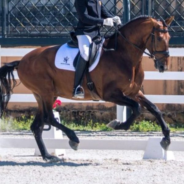 Screenshot_20260317_104855_WhatsApp