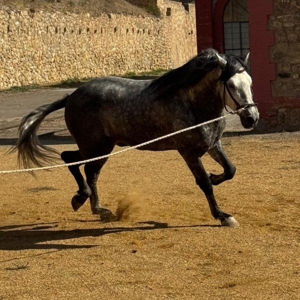 Screenshot_20260317_170337_WhatsApp